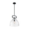 Nuvo Fixure, Pendant, 1-Light, Incandescent, 100W, 120V, A19, Medium Base, Height: 16.50 60/7152